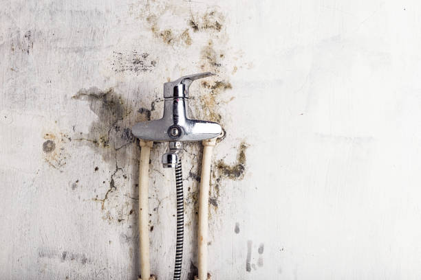Best Mold Testing  in Oakland, OR
