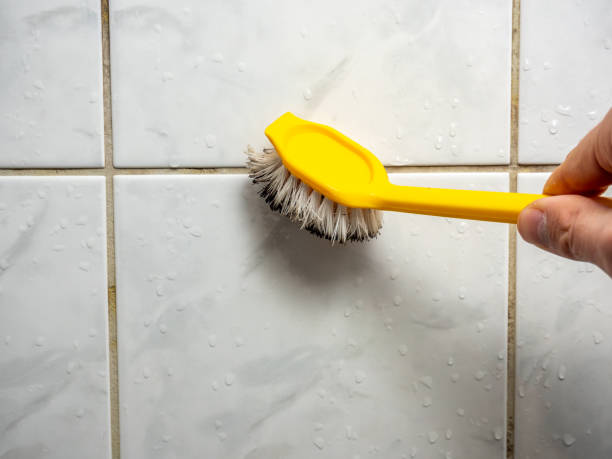 Best Certified Mold Removal  in Oakland, OR