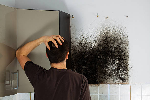 Best Mold Testing  in Oakland, OR